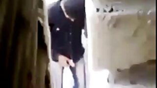 بریگزٹ فاکس اپنی بلی ...