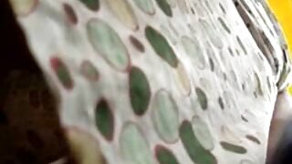 شرمناک شرمیلا بیب ای ...