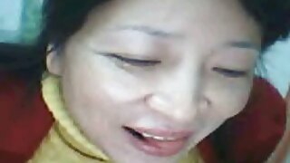 چھوٹے سر والی کتیا B ...